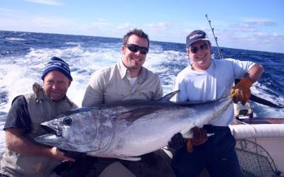 150 lb bluefin caught on a lure last week